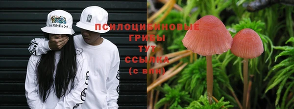 Альфа ПВП Белокуриха