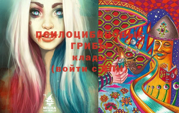 спайс Беломорск