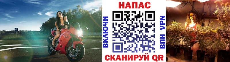 Шишки марихуана конопля  Жуков 